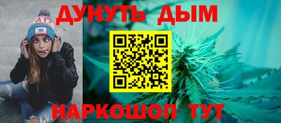 гидра Бердск
