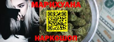 гидра Бердск