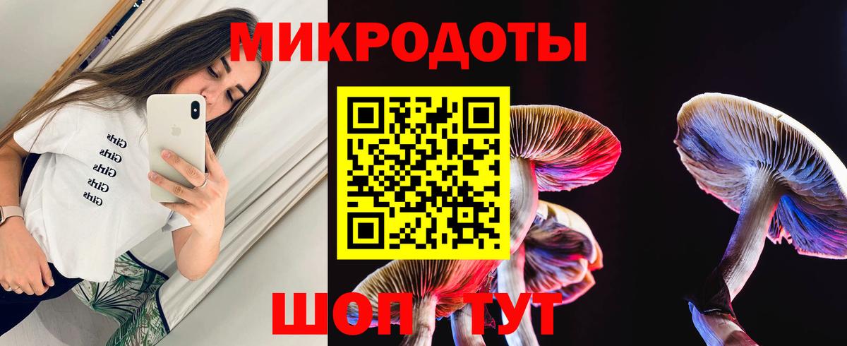 Галлюциногенные грибы Cubensis  Вход с VPN  Керчь  Галлюциногенные грибы Cubensis 